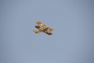 1_Bild021